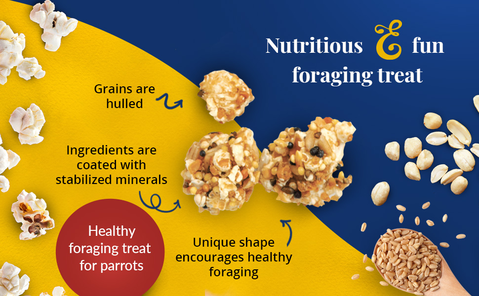 Parrot Popcorn Nutri-Berries