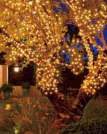 fairy lights