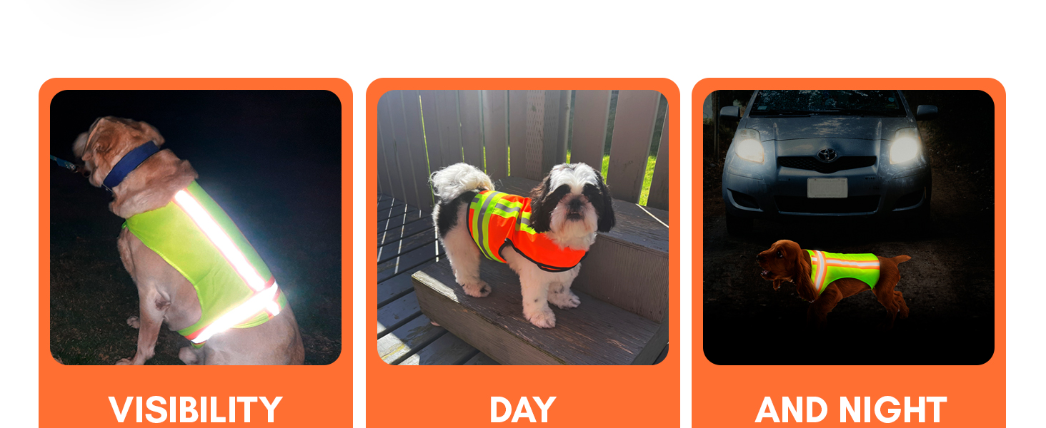 visibility day and night