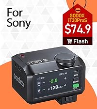 Amazon.com : Godox iT30 Pro S iT30Pro S iT30Pro-S iT30ProS