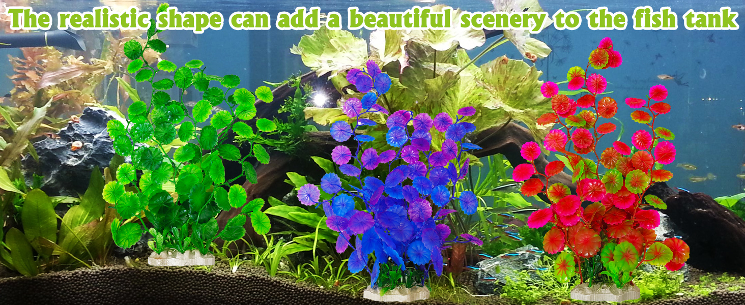 Large Aquarium Plants