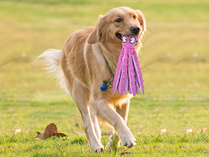 Small manufacture image 6