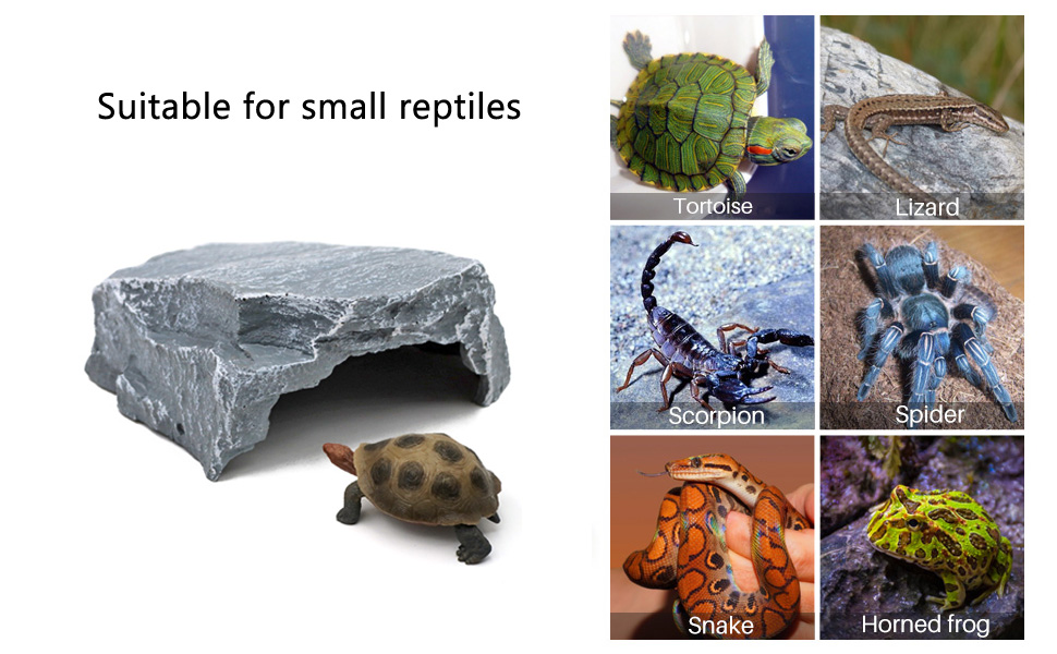 Simulation Rock Hide Cave