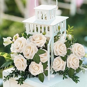 Cream Rose