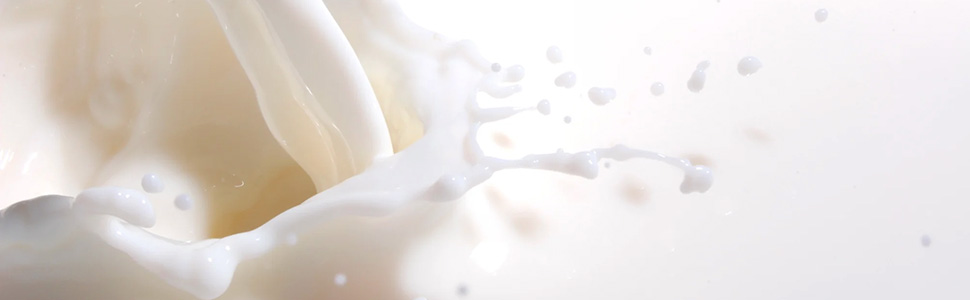 arctica food soybean milk