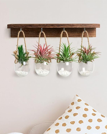 Wall Hanging Glass Planters Indoor Desktop Propagation Station Pot Wall vase Wooden Stand Eggshell