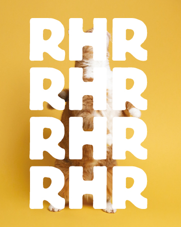 RHRQuality Cat Litter Box - Flower XXL – Hidden Cat Toilet – For Large Cats – With Large Entrance (51 cm) & Removable Top – Antracite 16 RHRQuality Cat Scratching Post Cat Litter Tray Wall Systems