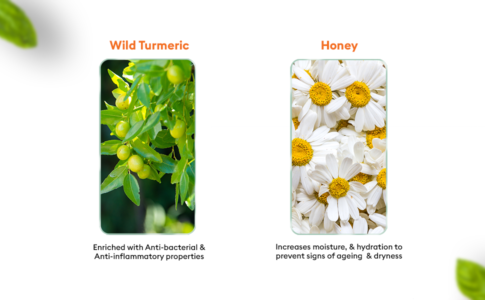 VLCC Wild Turmeric Face Wash - 3
