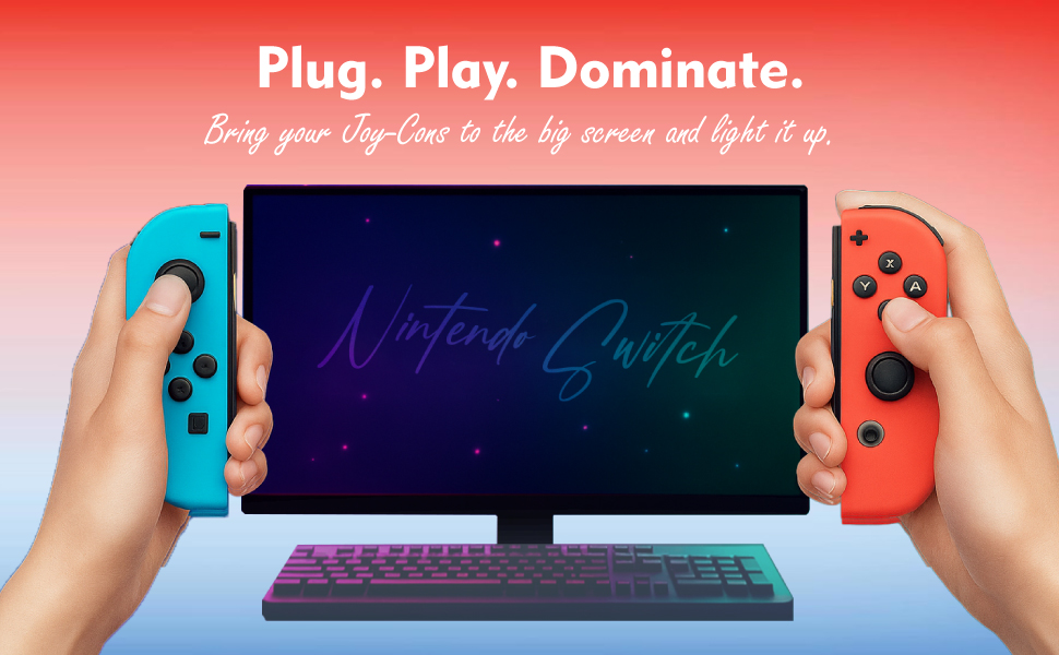 Digital V2 Model Nintendo Switch