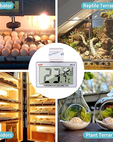 Snake Tank Accessories