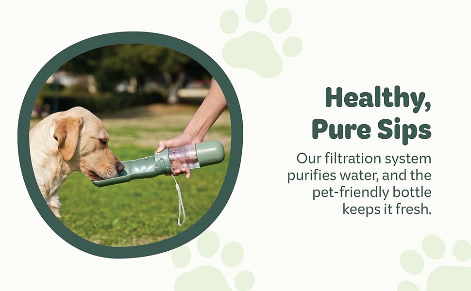 Portable Food and Water Dispenser A+ Content