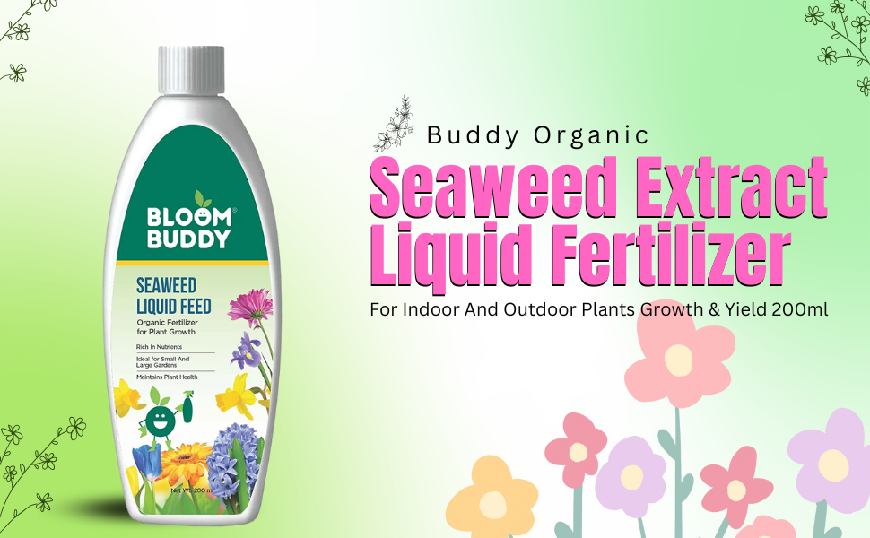 Bloombuddy Organic Seaweed Extract Liquid Fertilizer For Indoor And