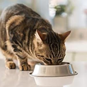 Natural Value Cat Food Grain Free Tuna 'n Toppings Premium Gourmet 