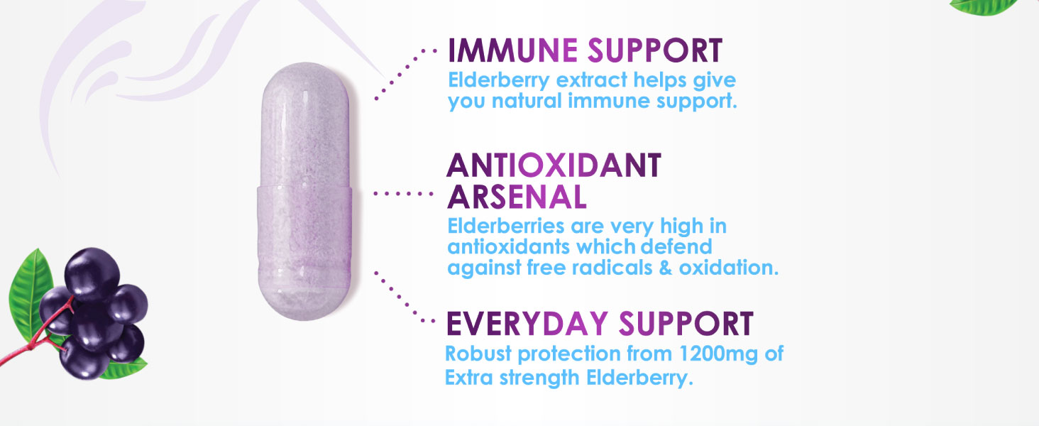 elder berry 120 count gummy elberry extract eldreberry syrup juice pills rystals sambuca supplements