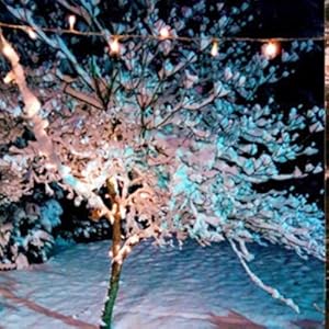outdoor christmas decorations lights