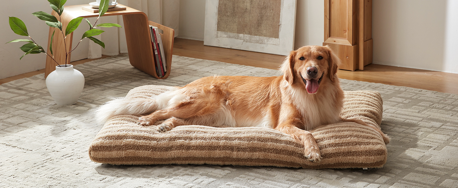 dog beds large sized dog