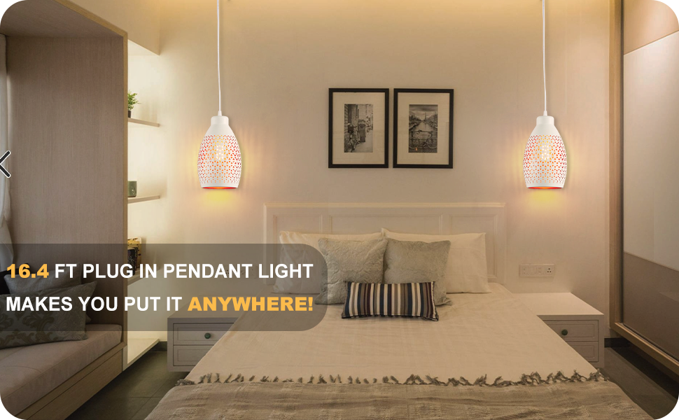 Hanging Lights with Plug in Cord 16.4Ft, Plug in Pendant