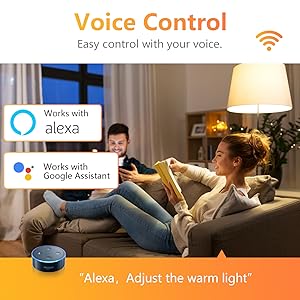 Voice Control