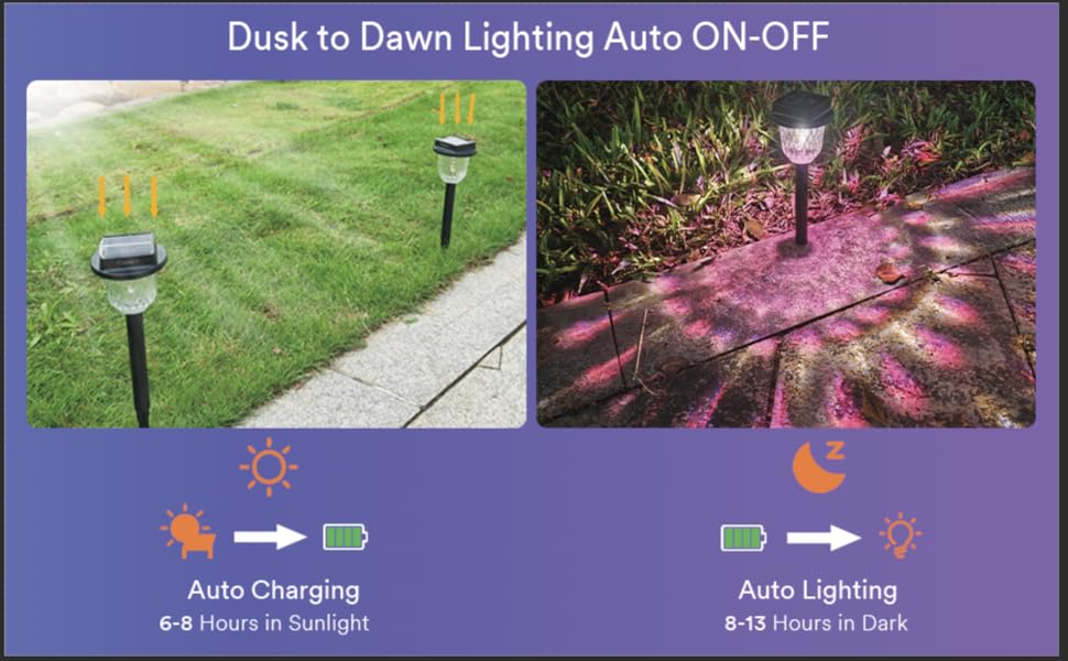 Solar Pathway Lights