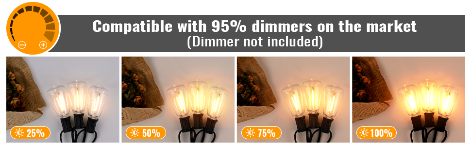 outdoor string lights