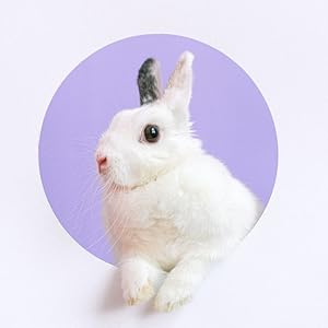Amazon.com: Easter Egg and Bunny Rabbit Liquid Wave