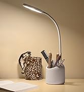 study and table lamp