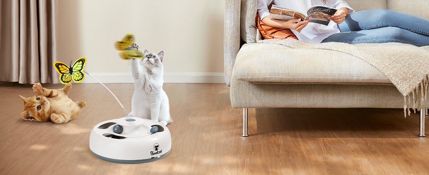 interactive cat toys