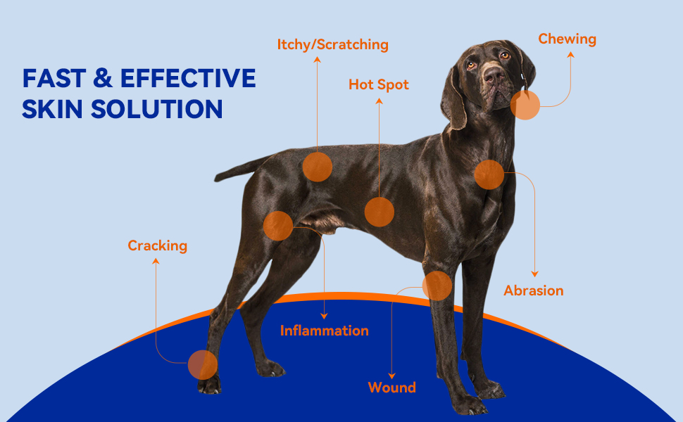 hot spot spray for dog dog itch spray wound spray for dog dog spray for itchy skin itch spray fordog