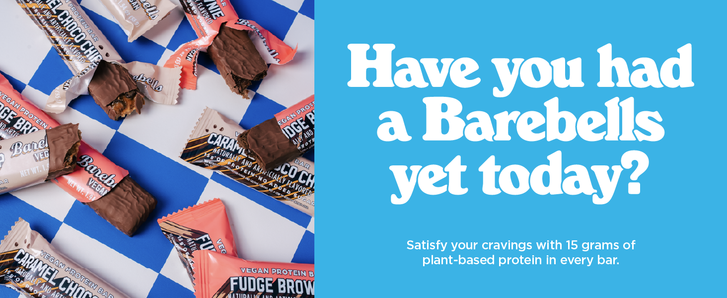 Vegan Plant Based Protein Bars