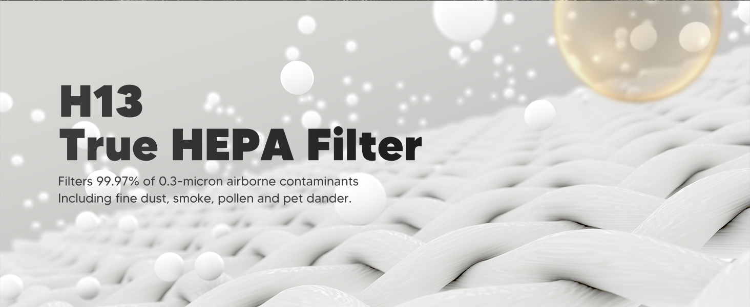 H13 true HEPA filter