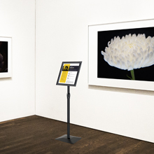 Small manufacture image 4