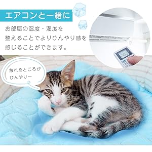 Amazon | mitas ひんやりマット 犬 ペット用 接触冷感 [国内