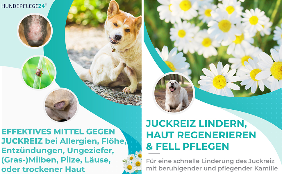 Hundepflege24 Anti Juckreiz Hund Spray 500ml für schnelle Linderung & Beruhigung Effektives