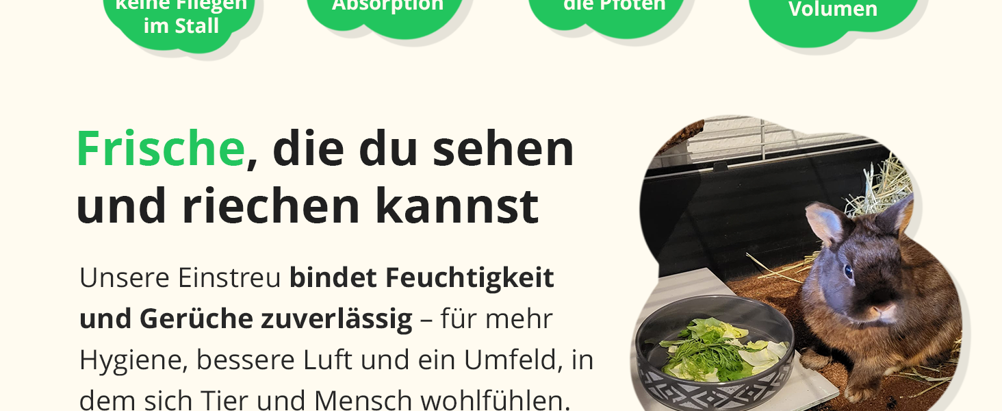Der Text lautet „Frische, die du sehen und riechen kannst“ mit grünen Blattmotiven. Zeigt eine Szene bei der Zubereitung von Speisen mit Zutaten und Kochen.