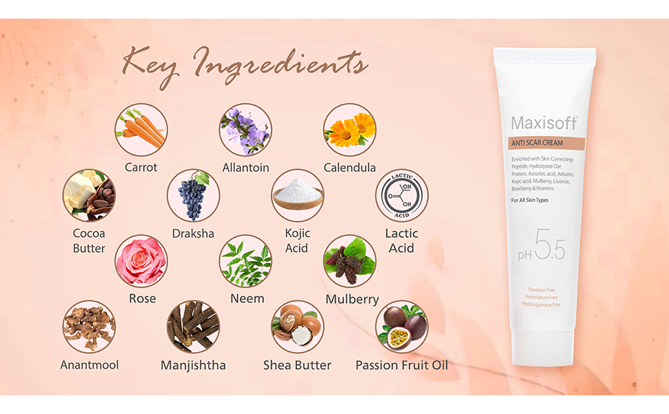 Maxisoft Anti Scar Cream With Aloe Vera, Carrot, Bearberry, Licorice