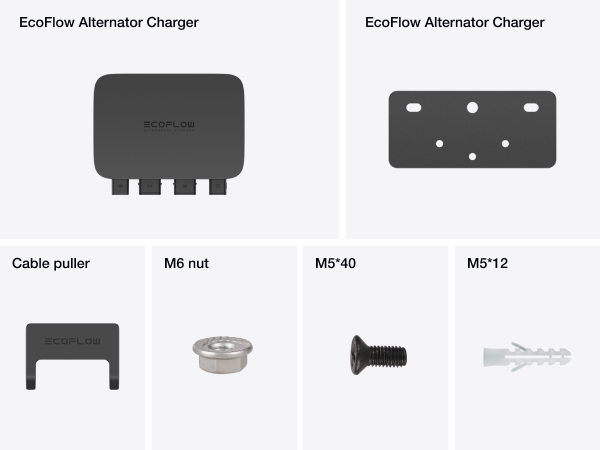 Amazon.com: EF ECOFLOW 800W Alternator Charger, 3-in-1 Fast DC-DC