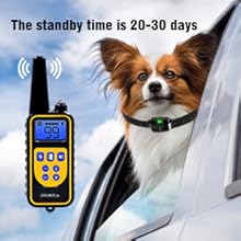 Dog shock collar