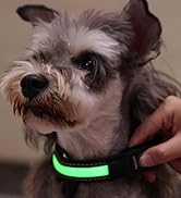 Nobleza Dog led collar
