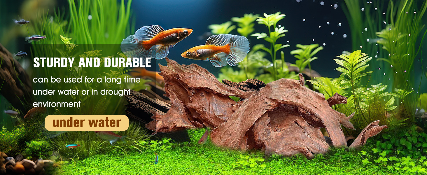 aquarium decorations