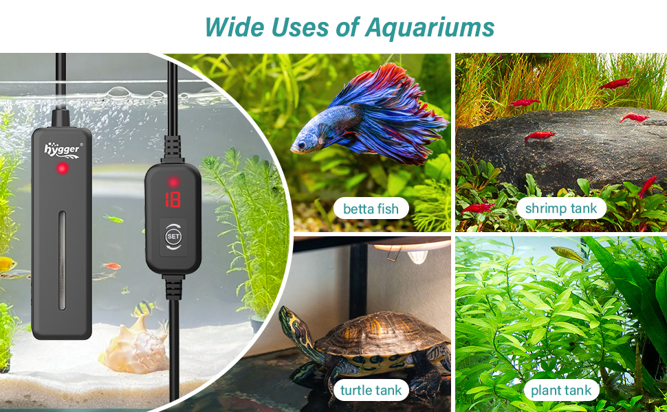 Collage, die die Verwendungsmöglichkeiten von Aquarien zeigt: schwarze elektronische Geräte für Aquarien, bunte Fische, Wasserpflanzen und ein Bereich zum Sonnenbaden für Schildkröten, die verschiedene Wasserumgebungen demonstrieren.