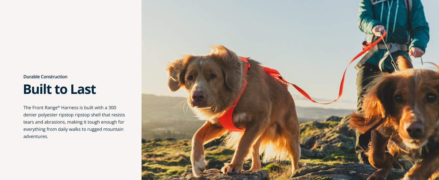 A secure training harness for dog no pull behavior, with front clip for easy correction.