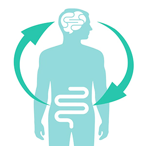 EJE intestinal cerebral