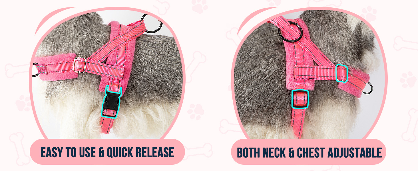 Walking Dog Harness and Leash Set