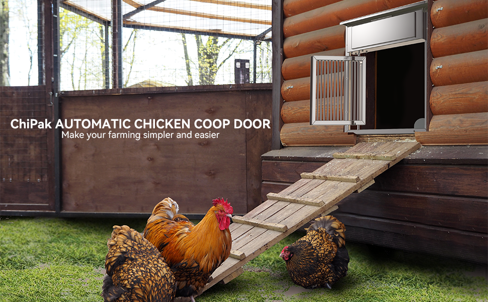 ChiPak Automatic Chicken Coop Door Opener with Timer, Large Size Stainless Steel