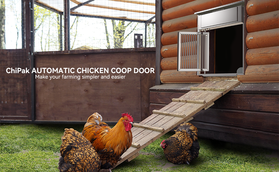 Automatic Chicken door