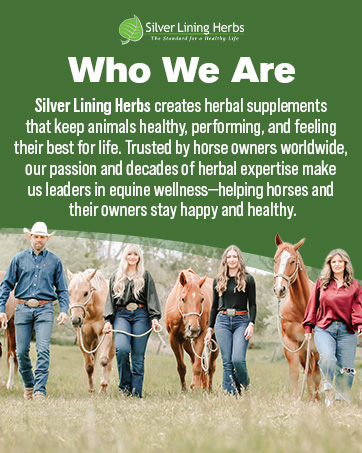 Silver Lining Herbs for Horses Brand Story Carousel horse supplement horse feed horse health