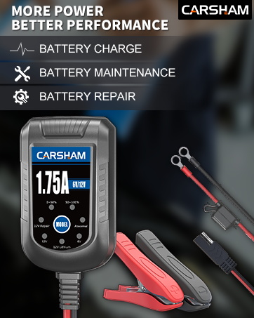 car battery trickle charger