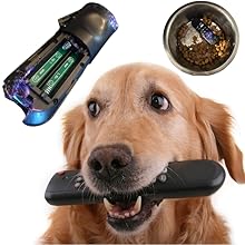 Dog chewing Remote control