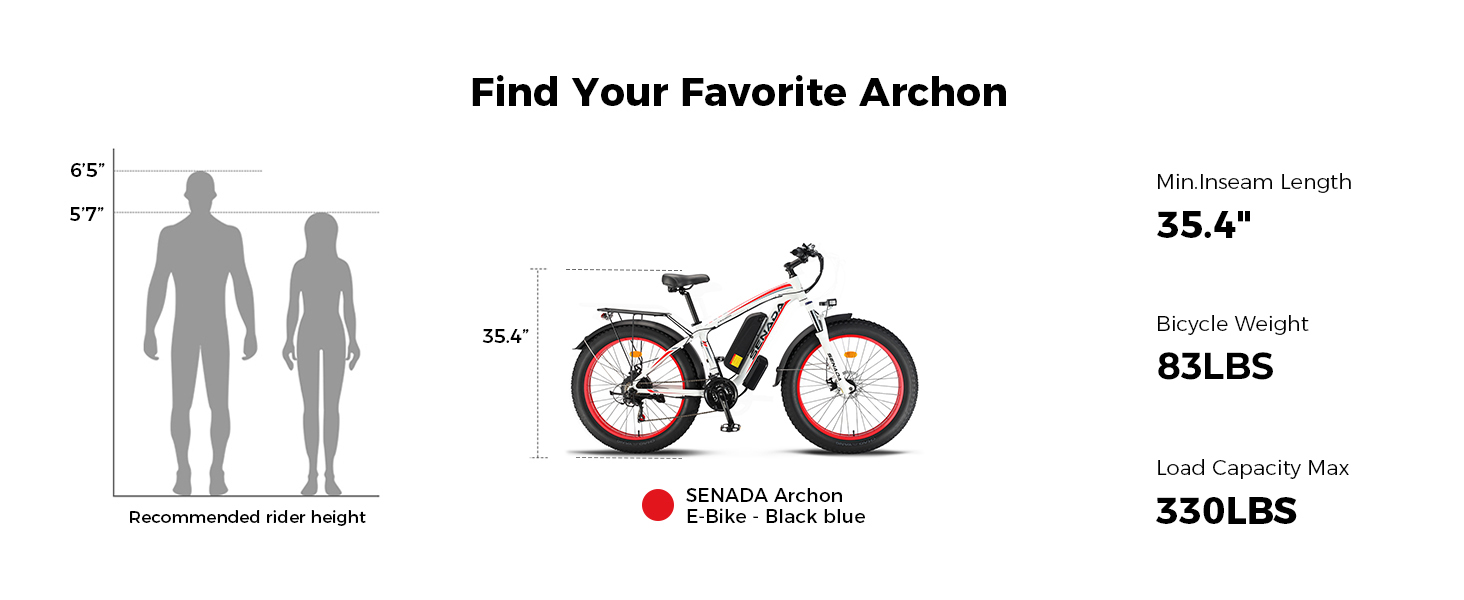 1000W electric bike