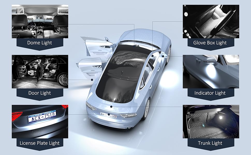 DE3175, 3175, 3021, 3022, DE3021, DE3022, 7065, 6428, 6430,6418, 6411, 6461, DE3425, C5W, DE3423